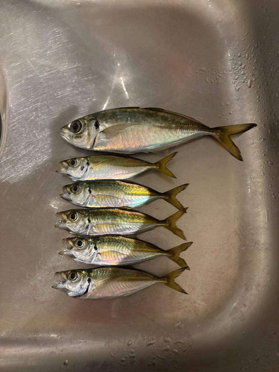 Gamakatsu ラグゼ 宵姫 天 S52UL-solidの最安値・インプレ・釣果