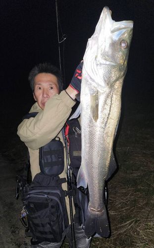 利根川下流