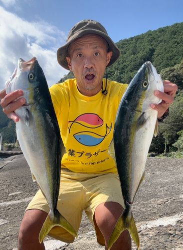 メジロの釣果