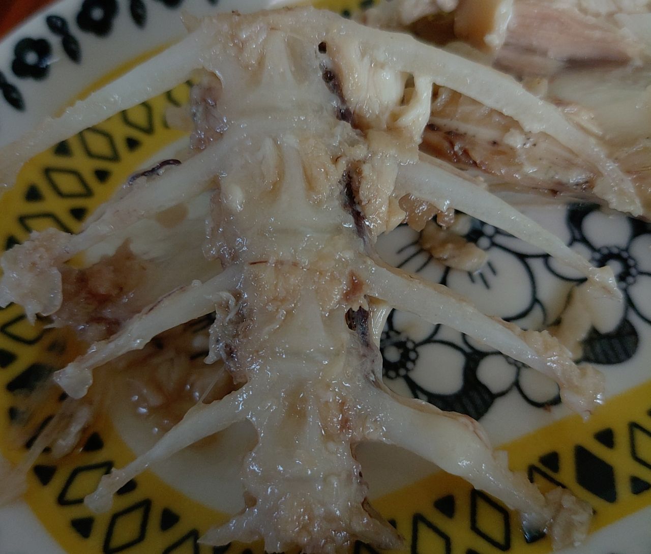 マダイ