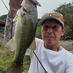 ラージマウスバス