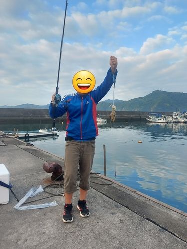 日向灘