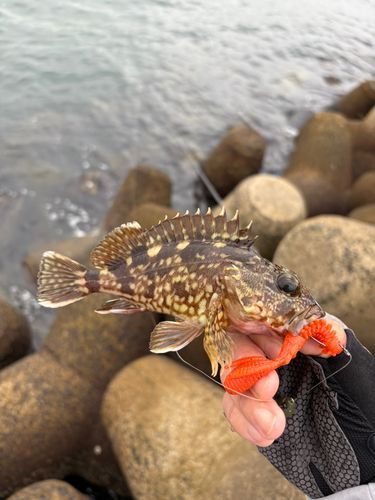 伊勢湾湾奥