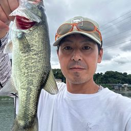 ラージマウスバス