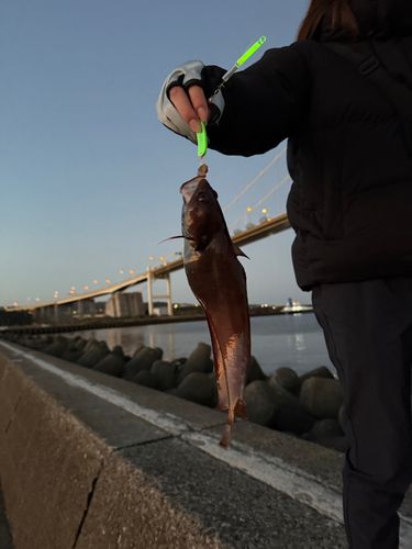 白鳥大橋