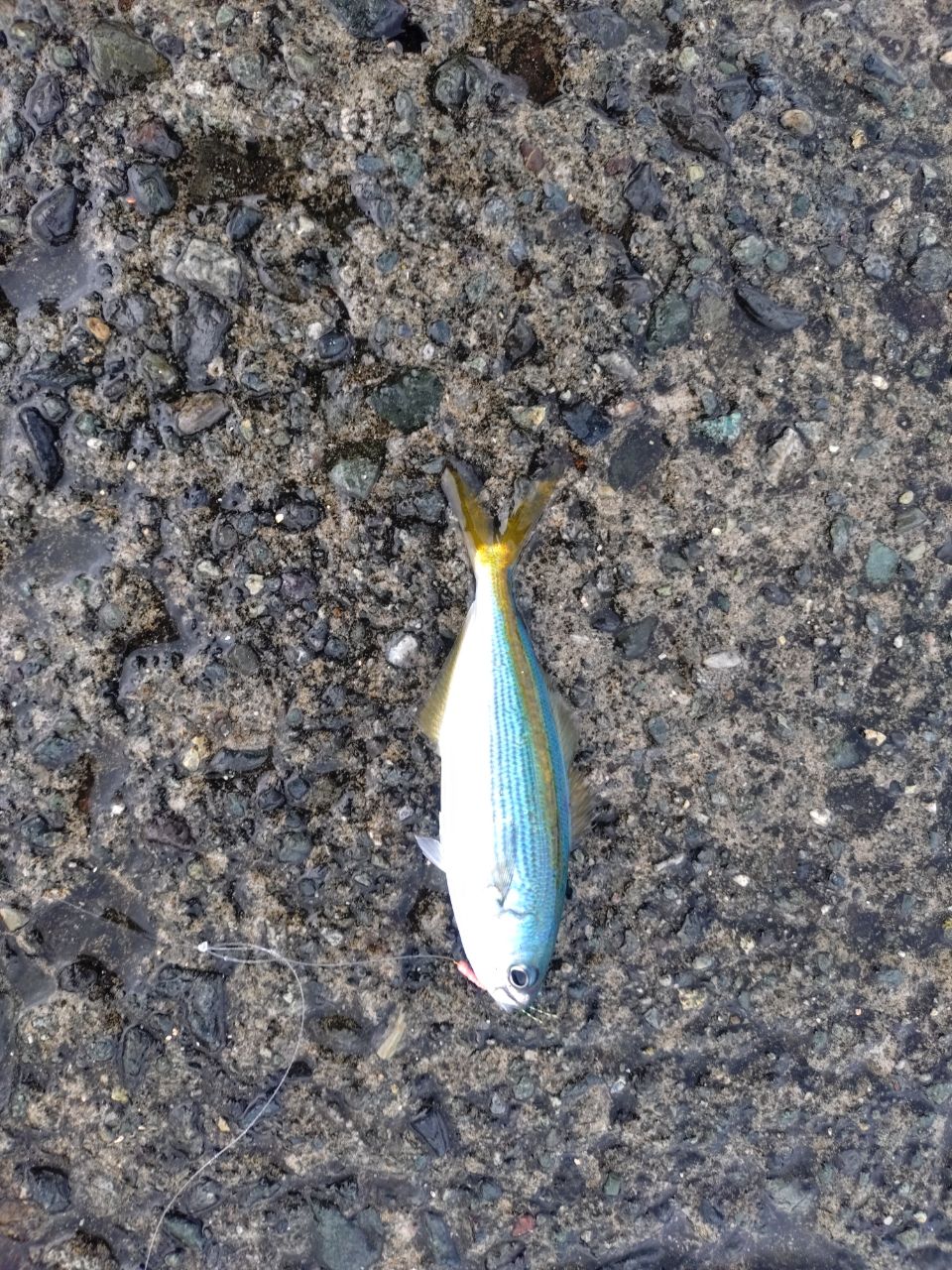 タカベ