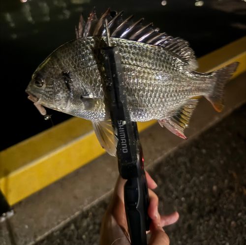 博多湾