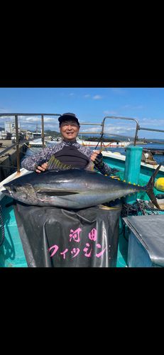 キハダマグロの釣果