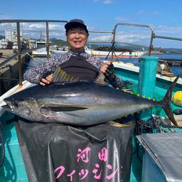 キハダマグロ