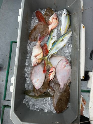 伊勢湾