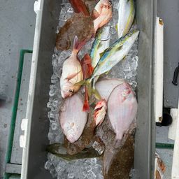 タイ