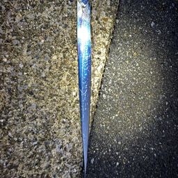 タチウオ