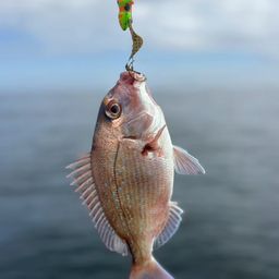 タイ