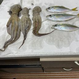 アジ