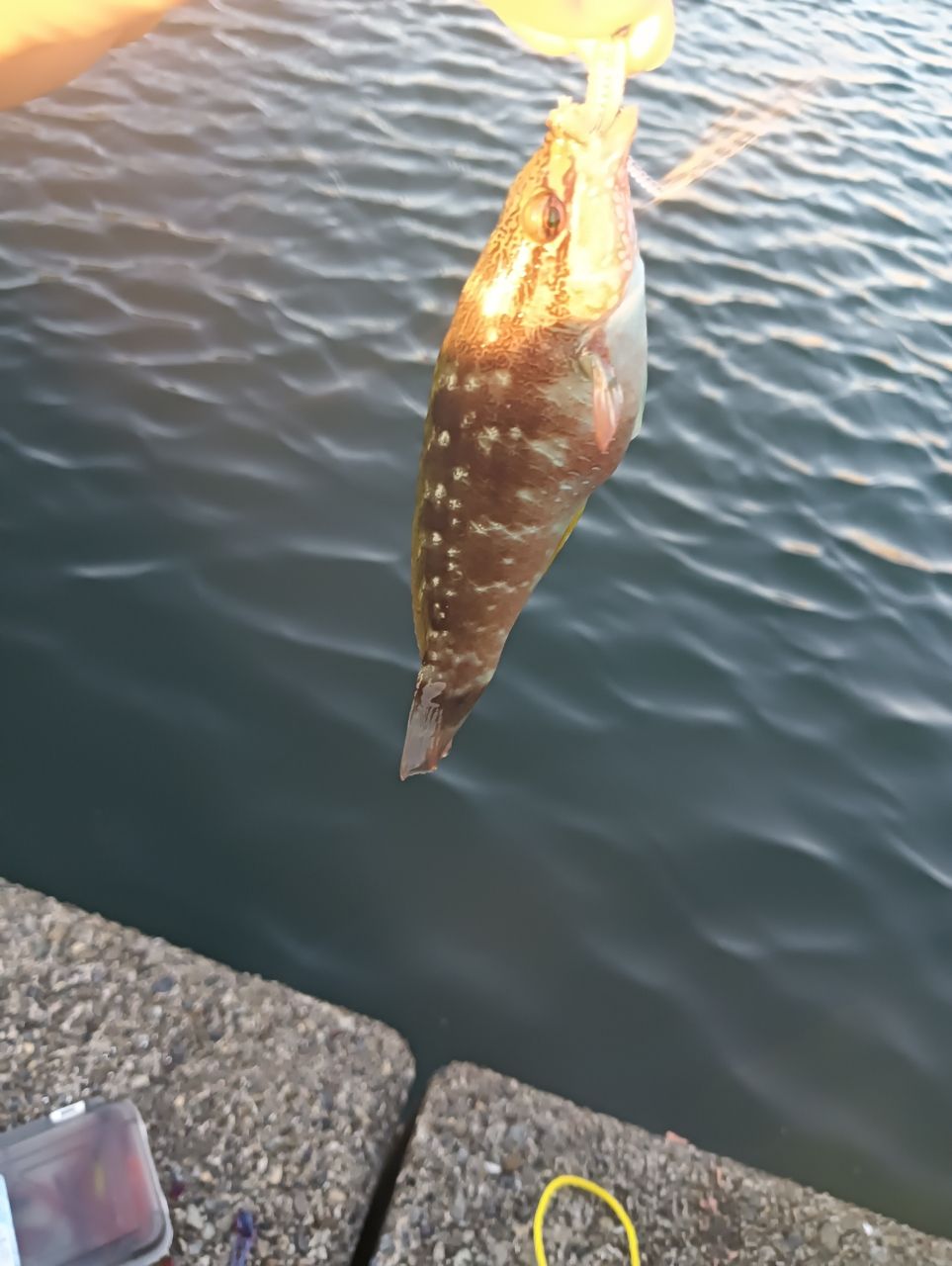 メッキ