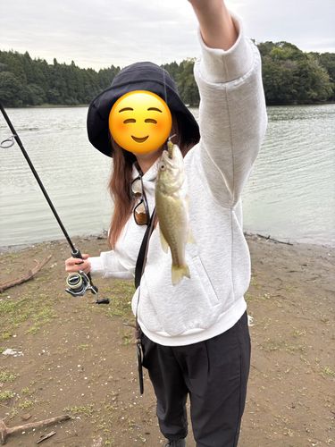 雄蛇ケ池