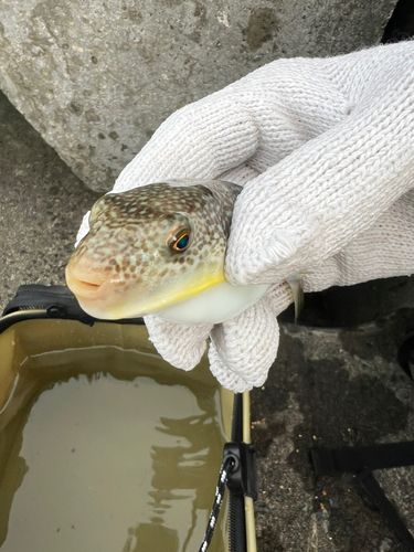 石狩湾新港