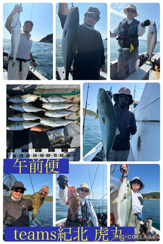 メジロの釣果