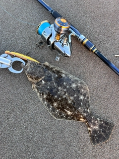 ソゲの釣果