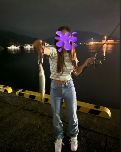 アカカマスの釣果