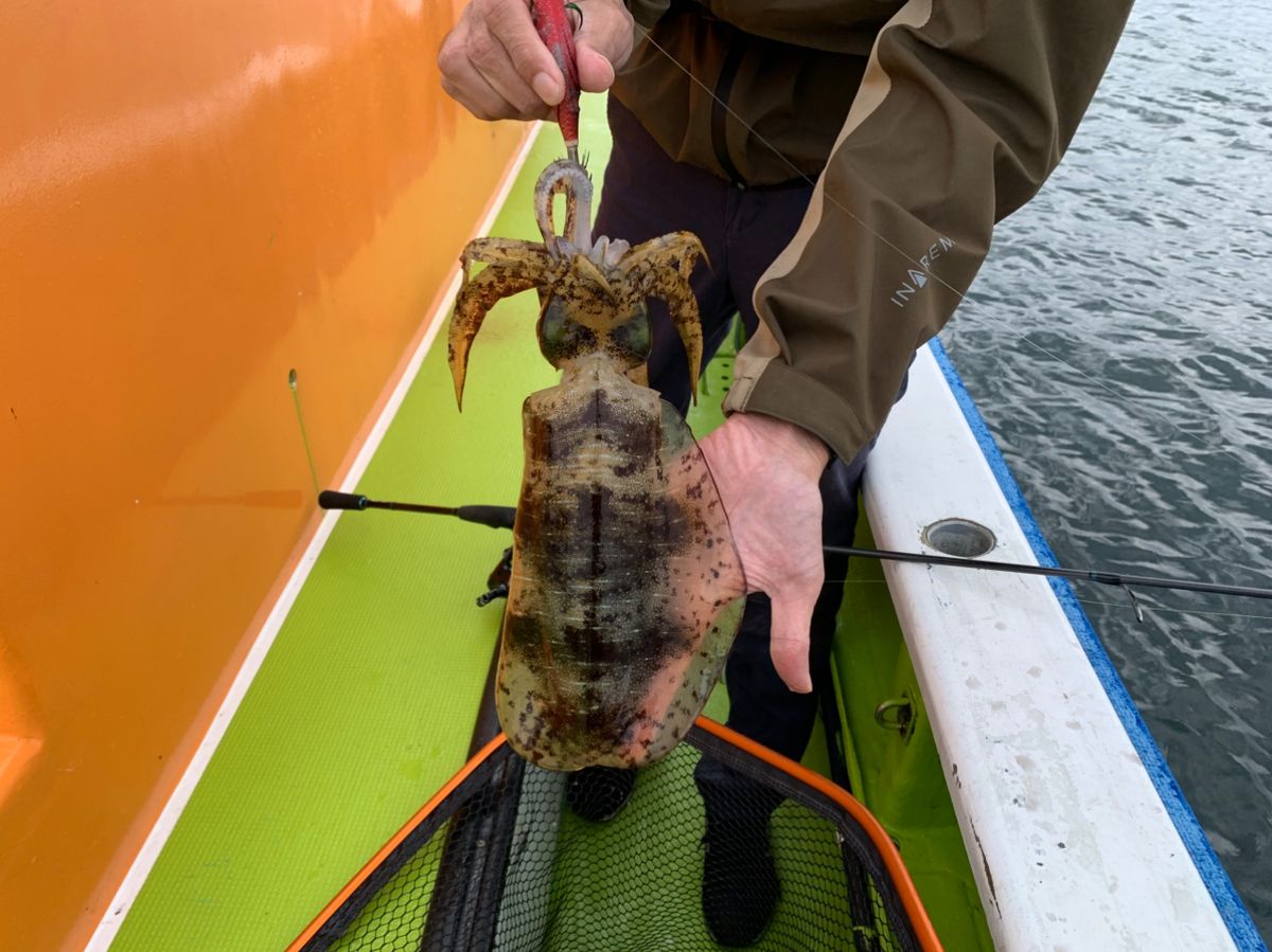 村本海事さんの釣果 3枚目の画像