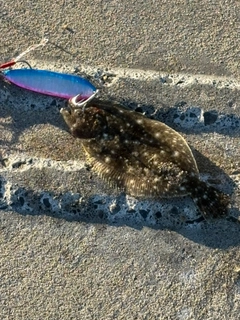 ソゲの釣果