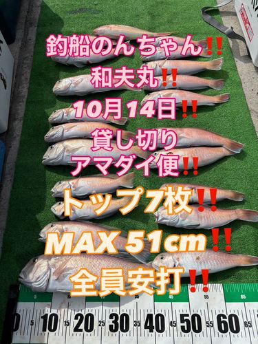 シロアマダイの釣果