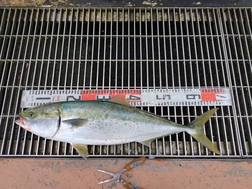 新地町海釣り公園