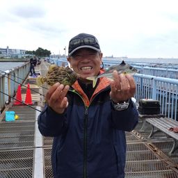 カワハギ