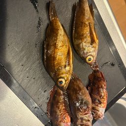 アジ