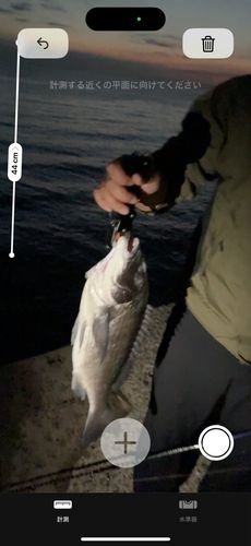 塩田新島