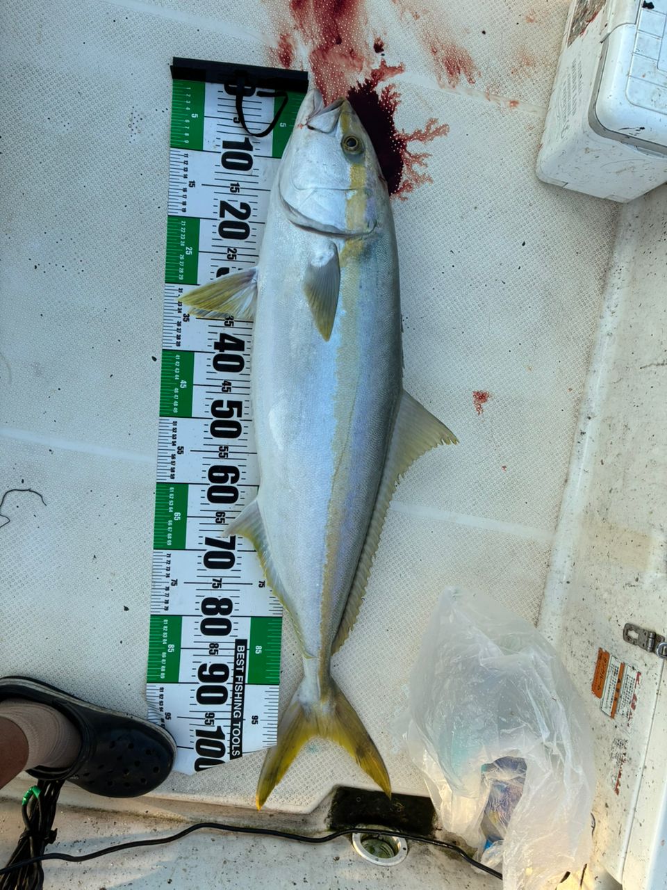 SHIMANO 23グラップラー タイプ ブレード S70-0の最安値