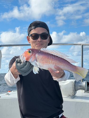アマダイの釣果