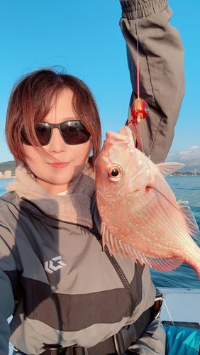 タイの釣果