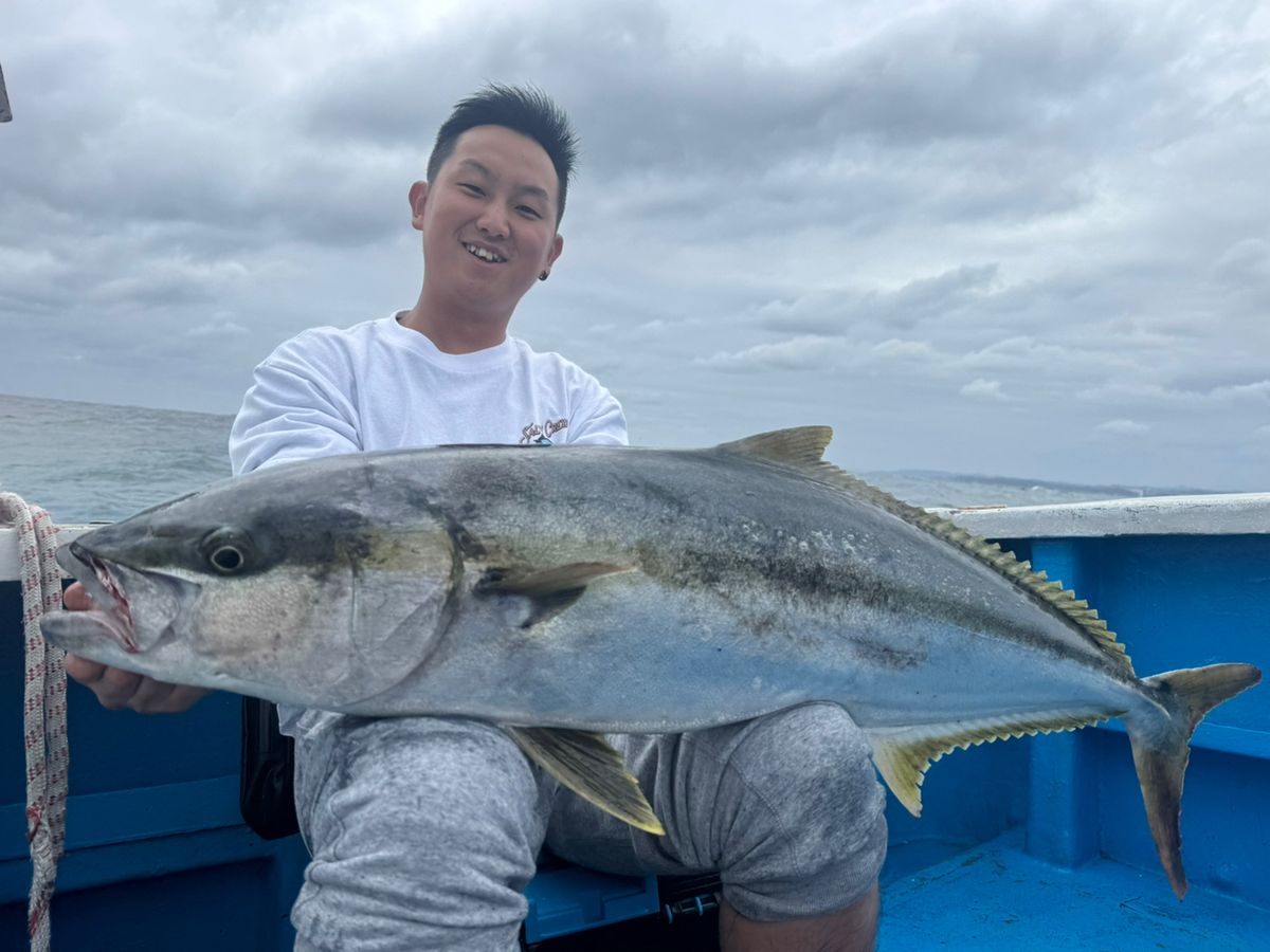 みるみーるさんの釣果 1枚目の画像