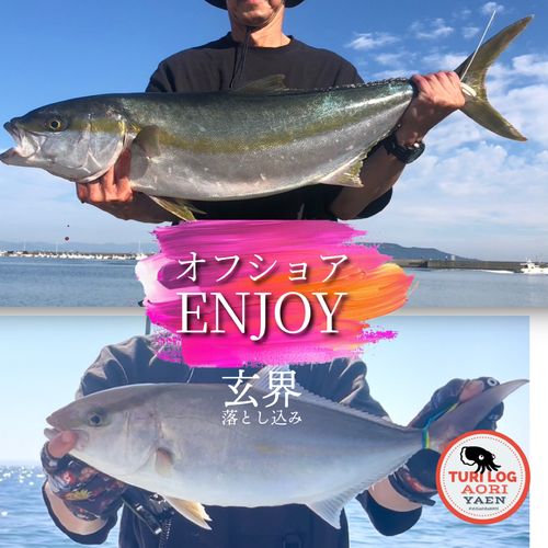 ヒラマサの釣果