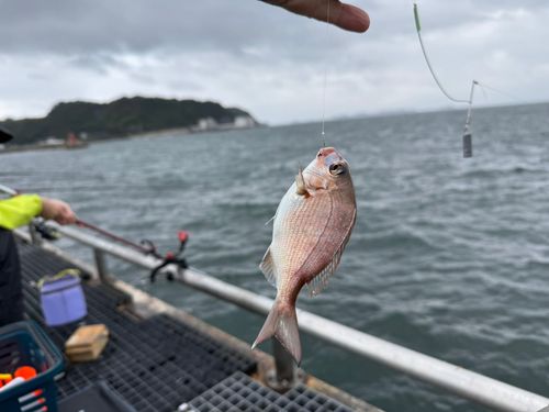 豊浜漁港