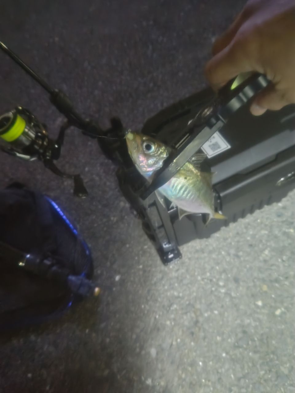 DUO テトラワークス リアクト TWRT-50の最安値・インプレ・釣果 | 本音