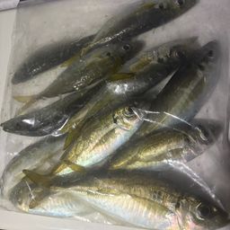 アジ