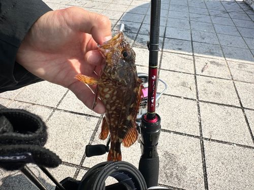 ベイサイドビーチ坂