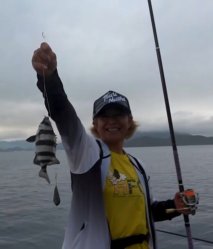 サンバソウの釣果