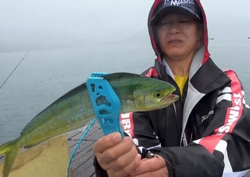 小浜湾