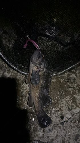 石狩湾新港