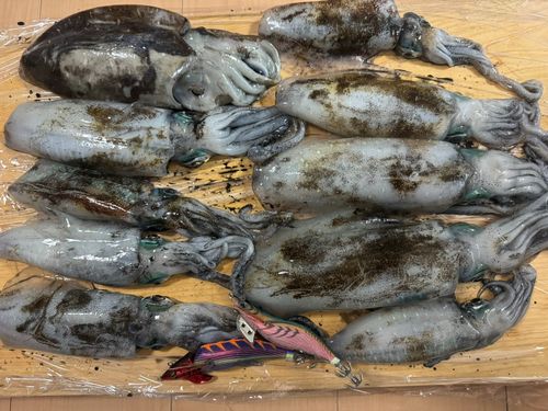 波松海岸