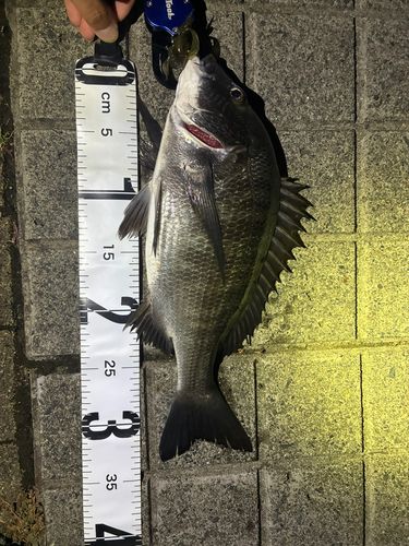中浜名湖
