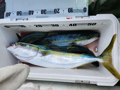 噴火湾