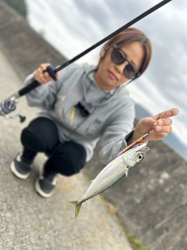唐丹湾