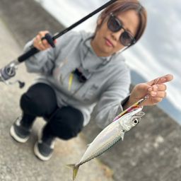 サバ
