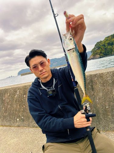 三陸海岸（岩手）