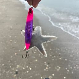 ヒラメ
